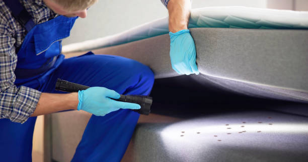 Best Pest Removal Services  in Oak Brook, IL