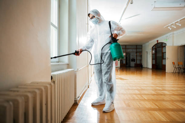 Best Cockroach Control Services  in Oak Brook, IL