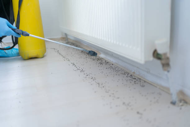 Best Pest Inspection Near Me  in Oak Brook, IL