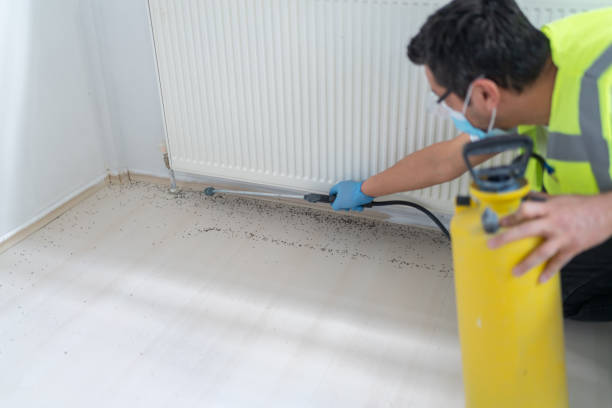 Best Affordable Pest Control Services  in Oak Brook, IL